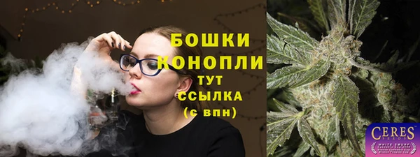 тгк Туринск