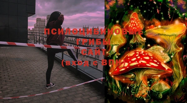 МДМА Тында