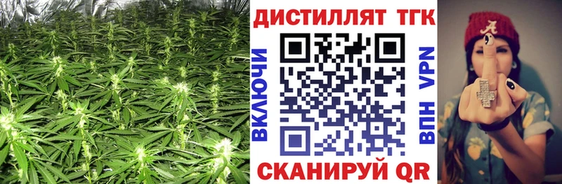 Купить где  Петров Вал  Дистиллят ТГК концентрат 