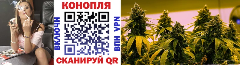 Купить где  Петров Вал  Бошки Шишки сатива 